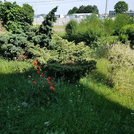 Nr 3 W Starym Nadlesnictwie Apartament