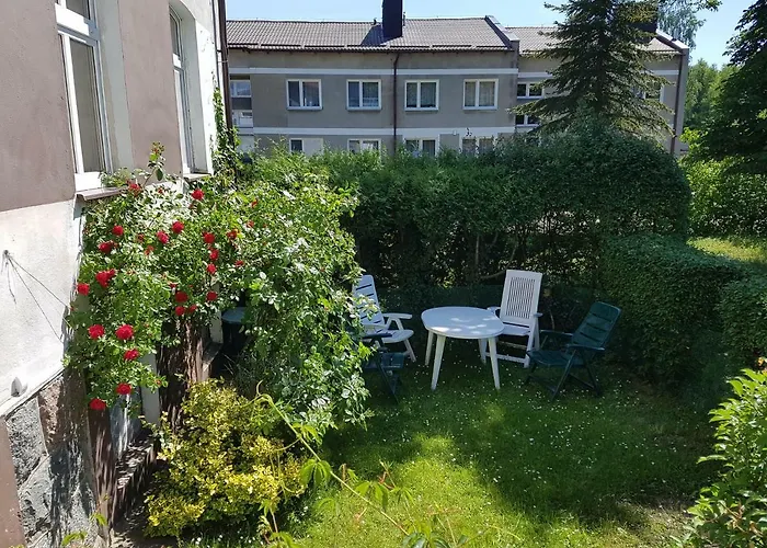 Nr 3 W Starym Nadlesnictwie